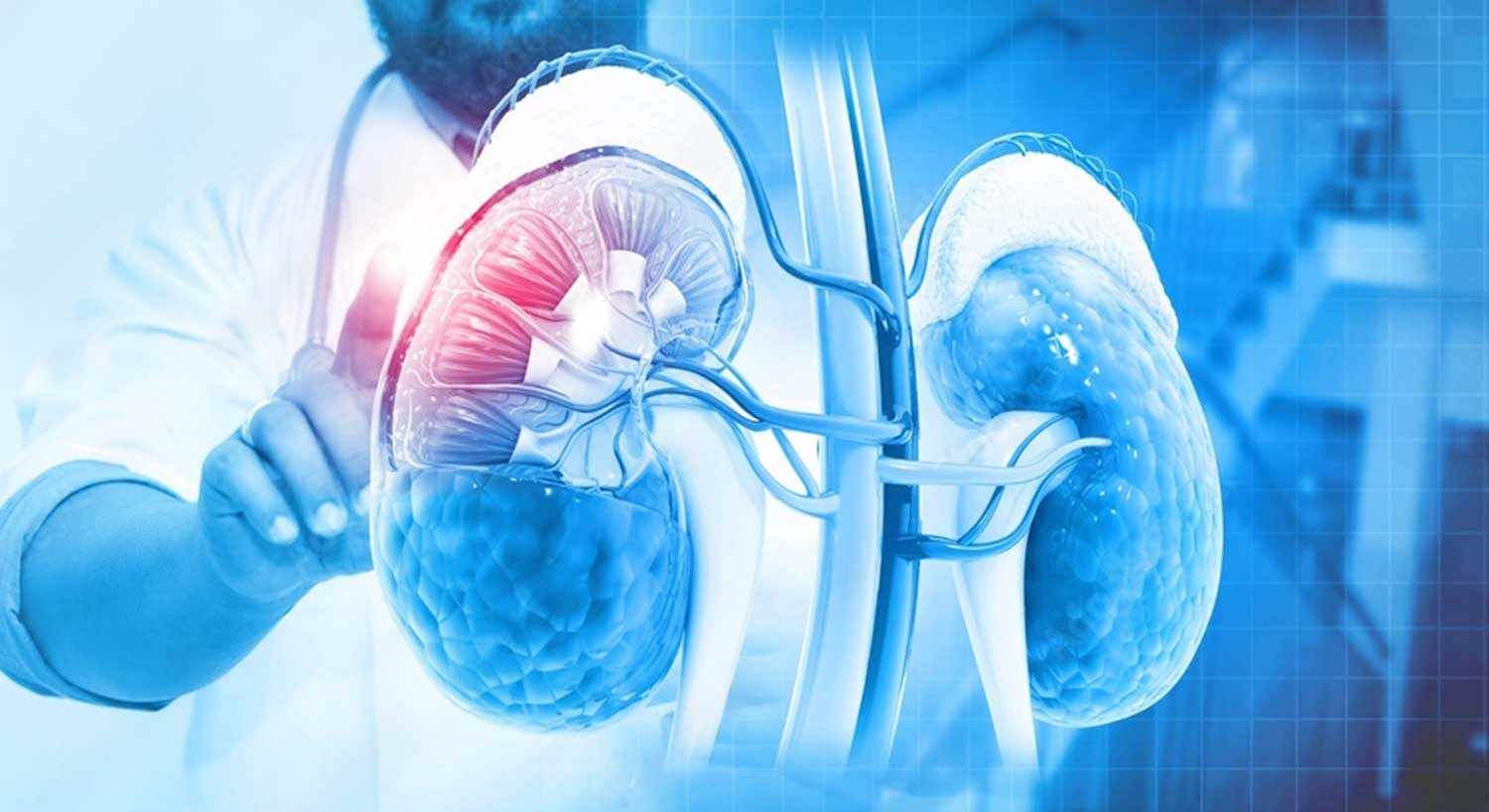 Nephrology Treatment Specialist Hospital Bangalore